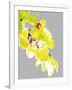 Neon Orchid I-Sukhanlee-Framed Giclee Print