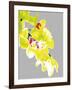 Neon Orchid I-Sukhanlee-Framed Giclee Print