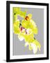 Neon Orchid I-Sukhanlee-Framed Giclee Print