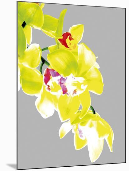 Neon Orchid I-Sukhanlee-Mounted Giclee Print