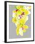 Neon Orchid II-Sukhanlee-Framed Giclee Print