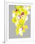 Neon Orchid II-Sukhanlee-Framed Giclee Print