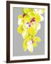 Neon Orchid II-Sukhanlee-Framed Giclee Print