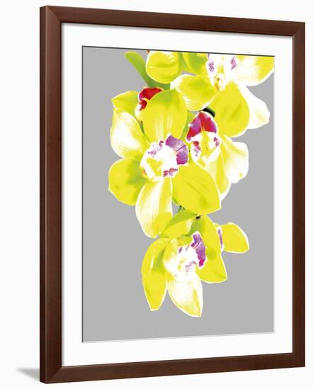 Neon Orchid II-Sukhanlee-Framed Giclee Print