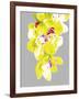 Neon Orchid II-Sukhanlee-Framed Giclee Print