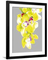 Neon Orchid II-Sukhanlee-Framed Giclee Print