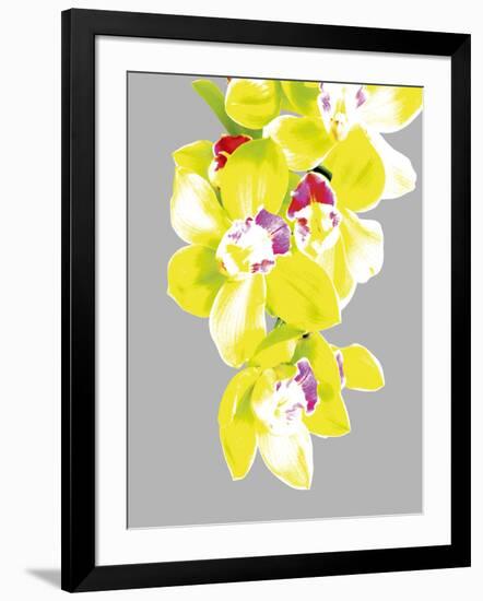 Neon Orchid II-Sukhanlee-Framed Giclee Print