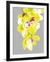 Neon Orchid II-Sukhanlee-Framed Giclee Print