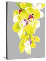 Neon Orchid II-Sukhanlee-Stretched Canvas