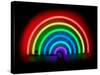 Neon Rainbow-Hailey Carr-Stretched Canvas