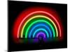 Neon Rainbow-Hailey Carr-Mounted Art Print