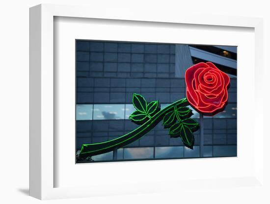 Neon rose, Waterfront Park, Portland, Oregon, USA-Panoramic Images-Framed Photographic Print