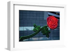 Neon rose, Waterfront Park, Portland, Oregon, USA-Panoramic Images-Framed Photographic Print