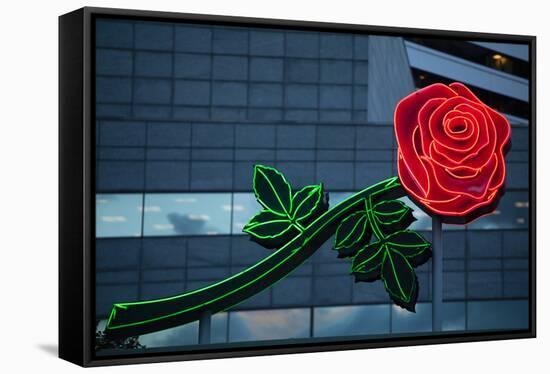 Neon rose, Waterfront Park, Portland, Oregon, USA-Panoramic Images-Framed Stretched Canvas