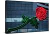 Neon rose, Waterfront Park, Portland, Oregon, USA-Panoramic Images-Stretched Canvas