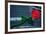 Neon rose, Waterfront Park, Portland, Oregon, USA-Panoramic Images-Framed Photographic Print