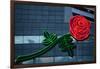 Neon rose, Waterfront Park, Portland, Oregon, USA-Panoramic Images-Framed Photographic Print