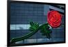 Neon rose, Waterfront Park, Portland, Oregon, USA-Panoramic Images-Framed Photographic Print