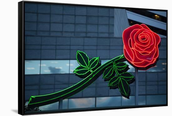 Neon rose, Waterfront Park, Portland, Oregon, USA-Panoramic Images-Framed Stretched Canvas