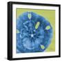 Neon Sand Dollar-Albert Koetsier-Framed Premium Giclee Print