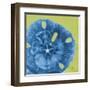 Neon Sand Dollar-Albert Koetsier-Framed Art Print