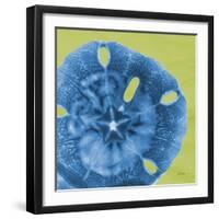 Neon Sand Dollar-Albert Koetsier-Framed Art Print