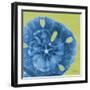 Neon Sand Dollar-Albert Koetsier-Framed Art Print