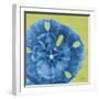 Neon Sand Dollar-Albert Koetsier-Framed Premium Giclee Print