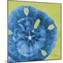 Neon Sand Dollar-Albert Koetsier-Mounted Premium Giclee Print