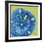 Neon Sand Dollar-Albert Koetsier-Framed Art Print