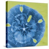 Neon Sand Dollar-Albert Koetsier-Stretched Canvas