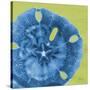 Neon Sand Dollar-Albert Koetsier-Stretched Canvas