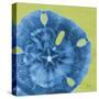 Neon Sand Dollar-Albert Koetsier-Stretched Canvas