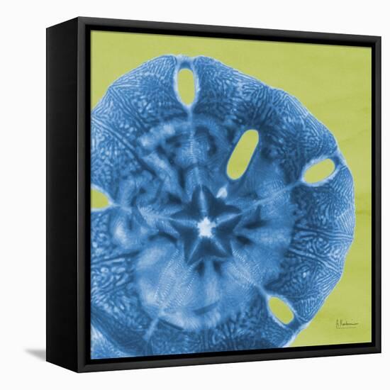 Neon Sand Dollar-Albert Koetsier-Framed Stretched Canvas