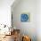 Neon Sand Dollar-Albert Koetsier-Stretched Canvas displayed on a wall