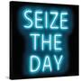 Neon Seize The Day AB-Hailey Carr-Stretched Canvas