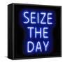 Neon Seize The Day BB-Hailey Carr-Framed Stretched Canvas