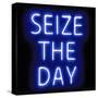 Neon Seize The Day BB-Hailey Carr-Stretched Canvas