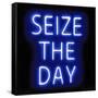 Neon Seize The Day BB-Hailey Carr-Framed Stretched Canvas