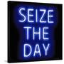 Neon Seize The Day BB-Hailey Carr-Stretched Canvas