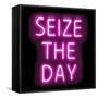 Neon Seize The Day PB-Hailey Carr-Framed Stretched Canvas