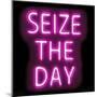 Neon Seize The Day PB-Hailey Carr-Mounted Art Print