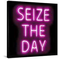 Neon Seize The Day PB-Hailey Carr-Stretched Canvas