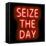 Neon Seize The Day RB-Hailey Carr-Framed Stretched Canvas