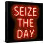 Neon Seize The Day RB-Hailey Carr-Framed Stretched Canvas