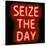 Neon Seize The Day RB-Hailey Carr-Stretched Canvas