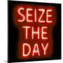 Neon Seize The Day RB-Hailey Carr-Mounted Art Print