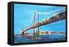 Neon Shimmering Skyline Silhouette of San Francisco-Martina Bleichner-Framed Stretched Canvas