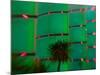 Neon Sign, Bally's Casino, Las Vegas, Nevada, USA-Walter Bibikow-Mounted Photographic Print