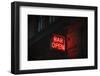 Neon Sign board, BAR OPEN-Hiroko Yoshida-Framed Photographic Print